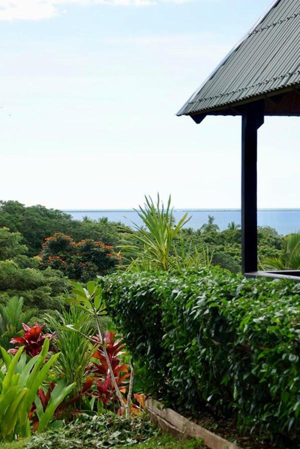 Palmlea Farms Lodge & Bures - Villas Лабаса Екстериор снимка